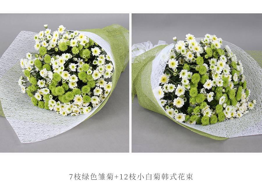 Friendship挚友鲜花系列7枝绿色雏菊 12枝小白菊 适合友情鲜花 问候长辈 探病慰问 生日鲜花 祝贺鲜花 好花网