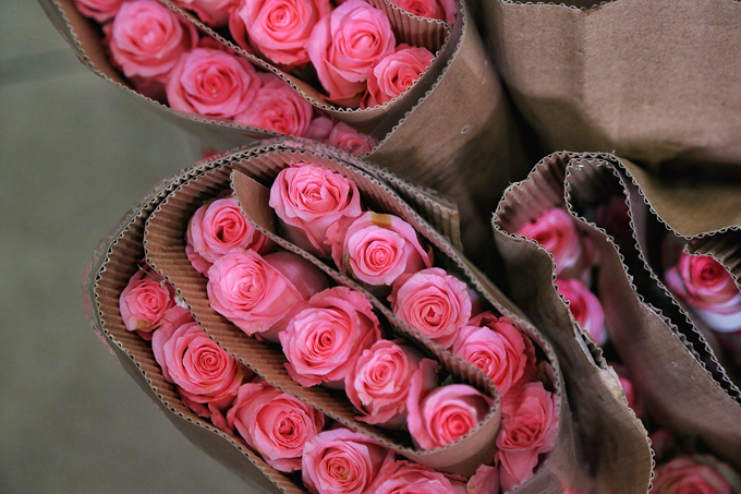 送几朵情人节玫瑰最合适 好花网